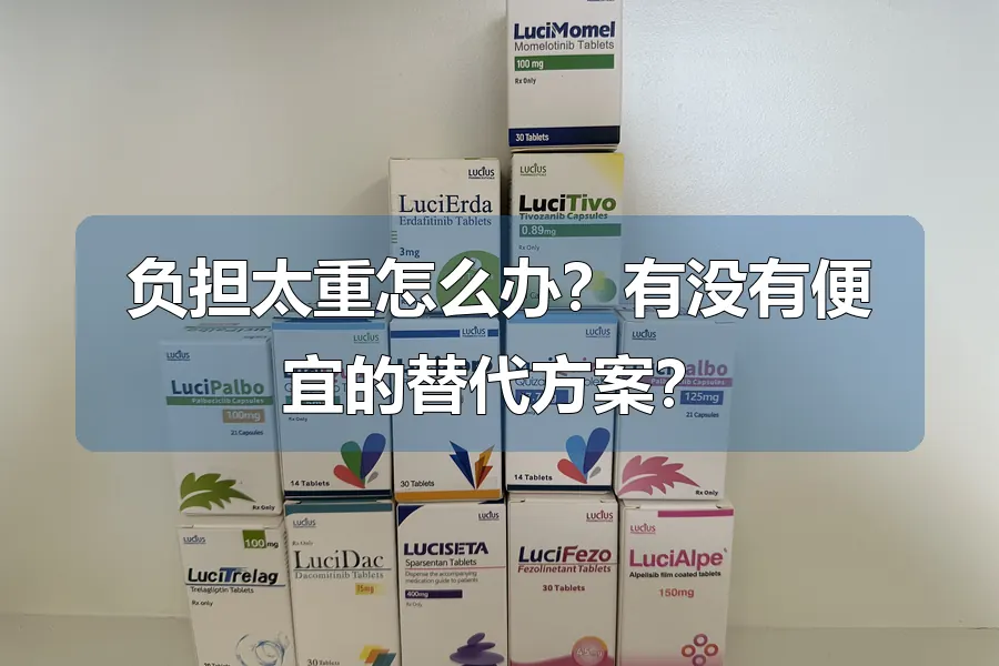 负担太重怎么办？有没有便宜的替代方案？